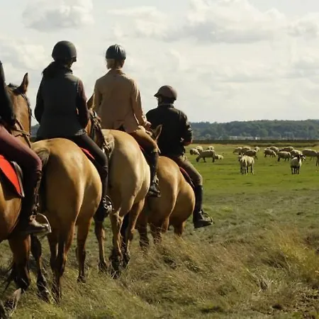 Le De Martine En Baie De Somme