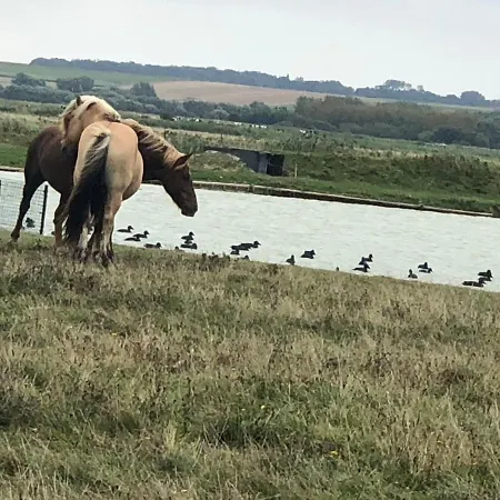 Сasa de vacaciones Le De Martine En Baie De Somme Lancheres