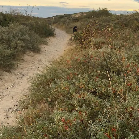 Le De Martine En Baie De Somme *