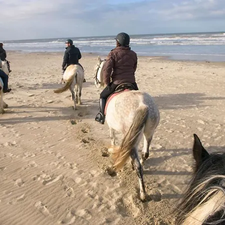 Le De Martine En Baie De Somme * Lancheres